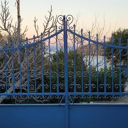Malvazios Big Blue *