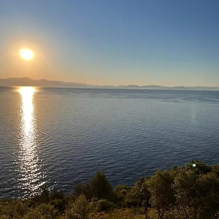 Laconian Collection Big Blue